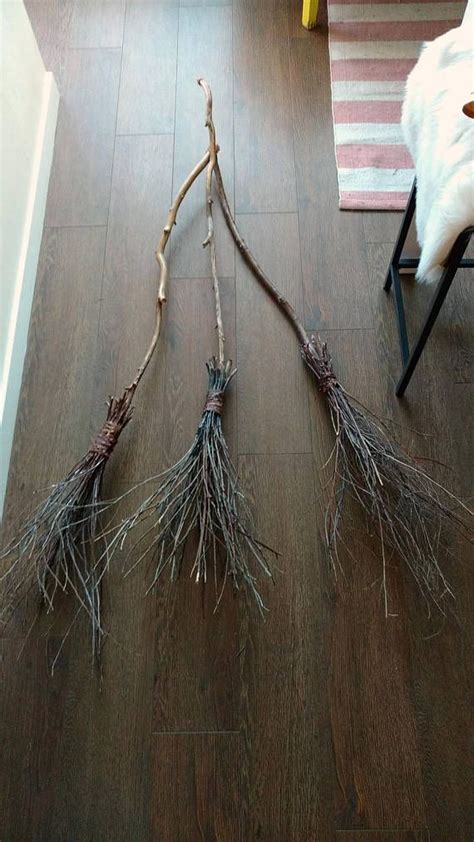Significance of witches broom